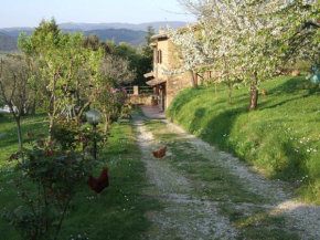  Podere La Vigna  Орвието